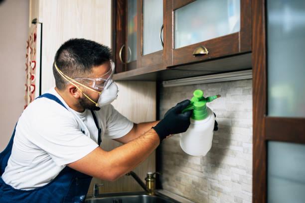 Best Best Pest Control Companies  in Coal Run Village, KY