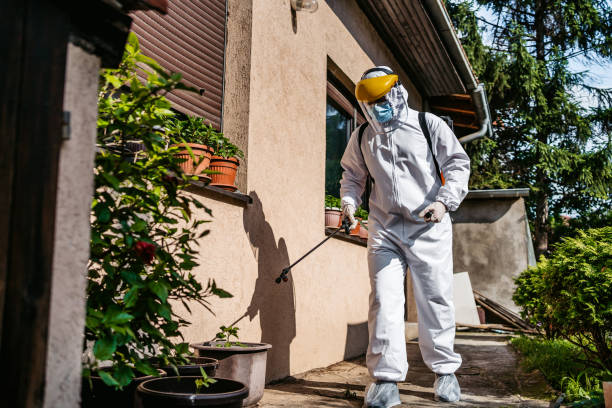 Best Flea Control Services  in Coal Run Village, KY