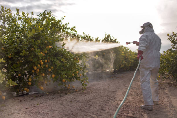 Best Pest Prevention Services  in Coal Run Village, KY