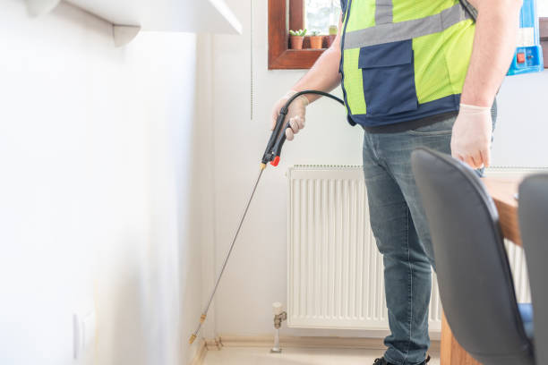 Best Mosquito Control Services  in Coal Run Village, KY