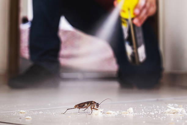 Pest Control for Restaurants in Coal Run Village, KY