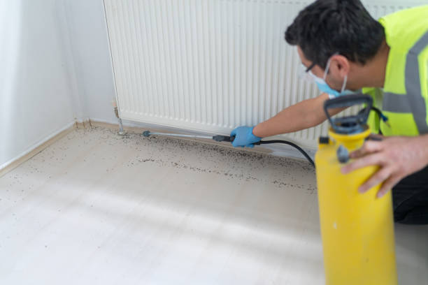 Best Bed Bug Extermination  in Coal Run Village, KY
