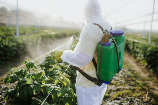 Trusted Coal Run Village, KY Pest Control Experts